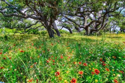 Coastal Hideway #B Texas