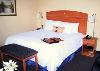 Hampton Inn Dallas-Rockwall - image 17