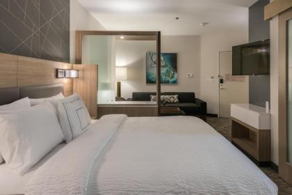 SpringHill Suites by Marriott Dallas Rockwall - image 14