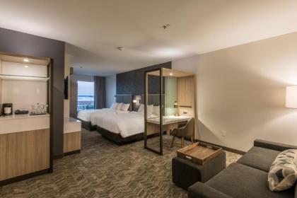 SpringHill Suites by Marriott Dallas Rockwall - image 15