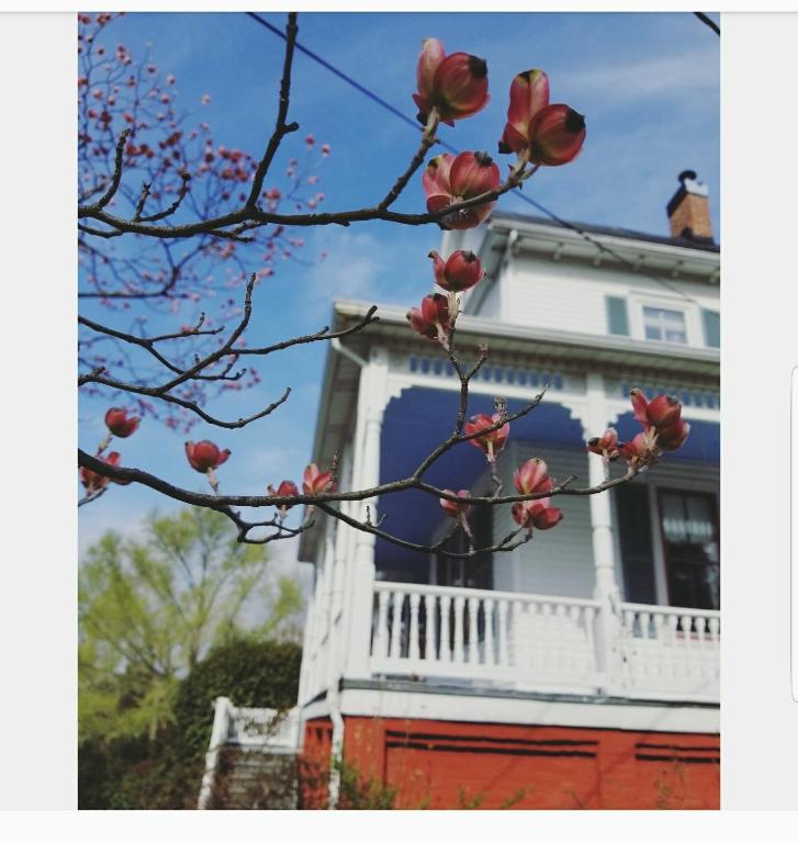 The Claiborne House - image 5