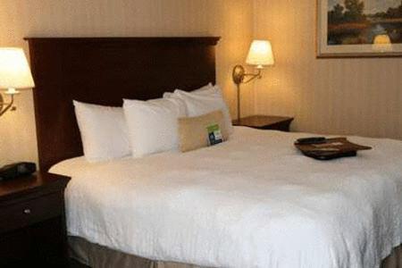 Hampton Inn Rocky Mount - image 5