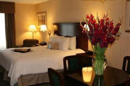 Hampton Inn Rocky Mount - image 9