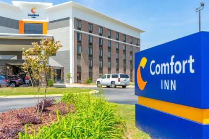 Comfort Inn near Rocky Mount Sports Complex - image 3