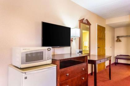 Econo Lodge - Rocky Top - image 10