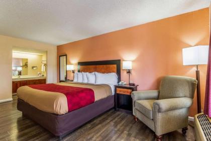 Econo Lodge - Rocky Top - image 9