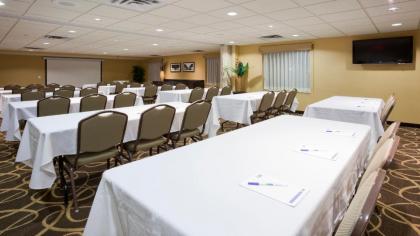 Holiday Inn Express Hotel & Suites Rogers an IHG Hotel - image 5