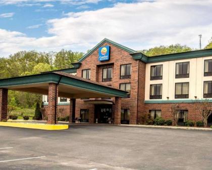 Comfort Inn & Suites Rogersville - image 1