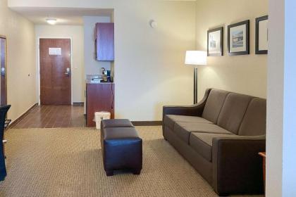 Comfort Inn & Suites Rogersville - image 14