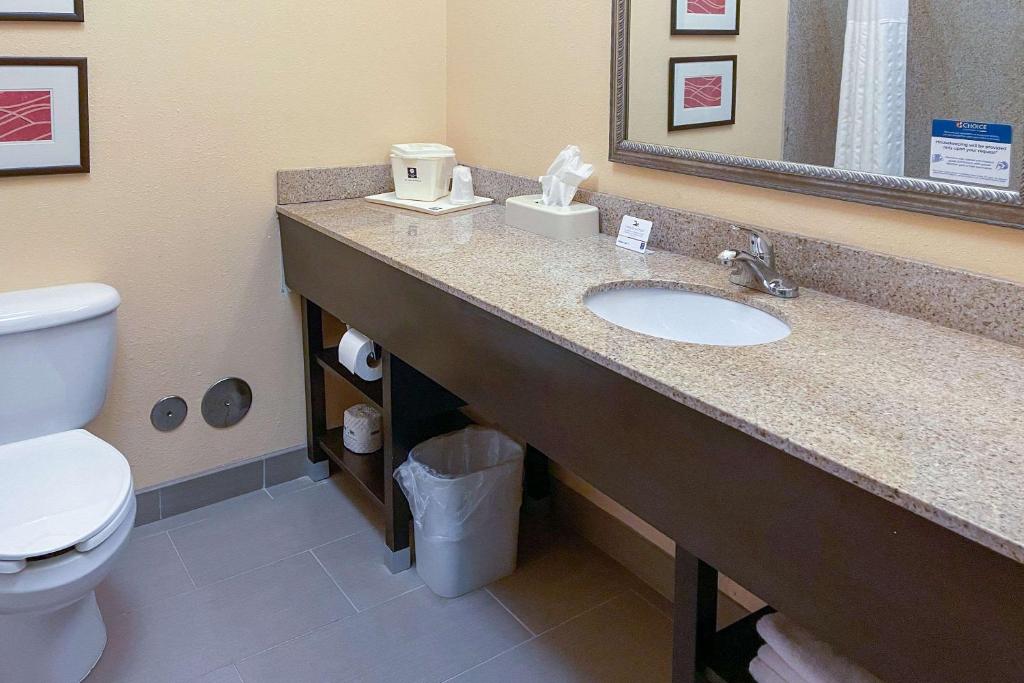 Comfort Inn & Suites Rogersville - image 6