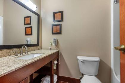 Comfort Suites Rolla - image 10