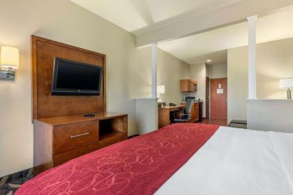 Comfort Suites Rolla - image 11