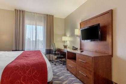 Comfort Suites Rolla - image 12