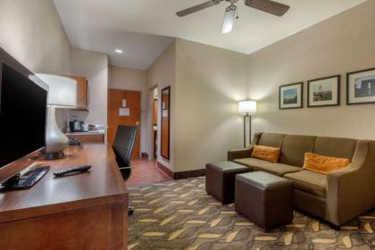 Comfort Suites Rolla - image 15