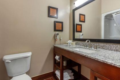 Comfort Suites Rolla - image 2