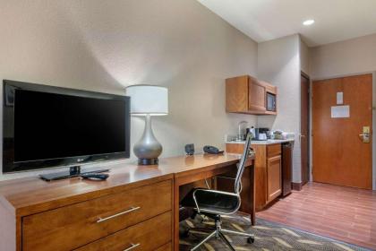 Comfort Suites Rolla - image 9