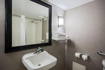 Holiday Inn Express Schaumburg-Rolling Meadows an IHG Hotel - image 16