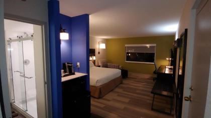 Holiday Inn Express Schaumburg-Rolling Meadows an IHG Hotel - image 8