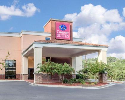 Comfort Inn And Suites Rome Ga