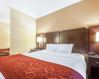 Comfort Suites Rome - image 7