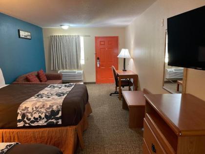 ASHWOOD INN & SUITES - image 3