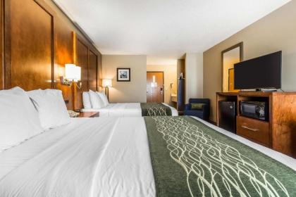 Comfort Inn Romeoville - Bolingbrook - image 14