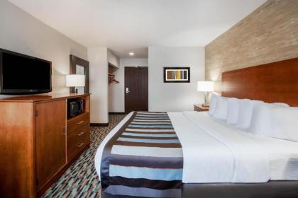 Wingate by Wyndham Detroit Metro Airport - image 20