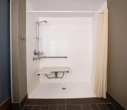 Delta Hotels by Marriott Detroit Metro Airport - image 12