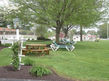 Amish Country Motel - image 13