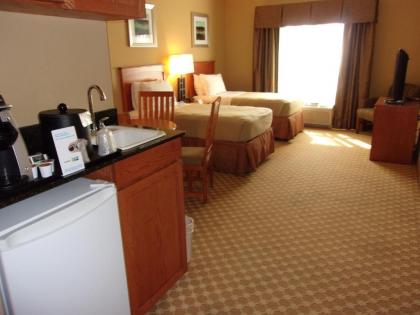 Holiday Inn Express Hotel & Suites Chicago West Roselle an IHG Hotel - image 12