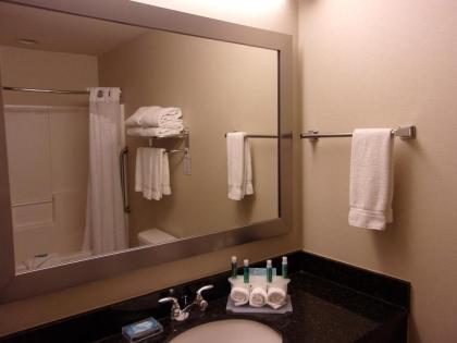 Holiday Inn Express Hotel & Suites Chicago West Roselle an IHG Hotel - image 2