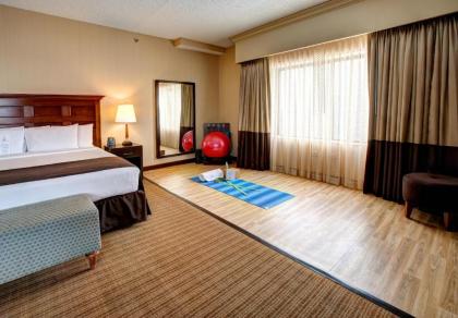 DoubleTree by Hilton Chicago O'Hare Airport-Rosemont - image 17