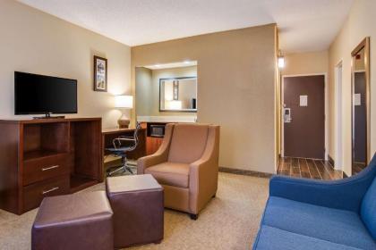 Comfort Inn - image 12