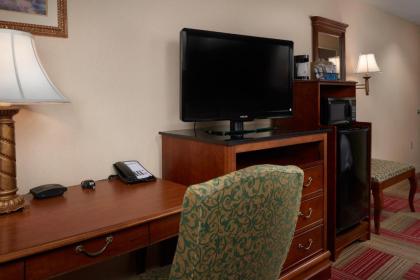 Hampton Inn & Suites Roswell - image 8