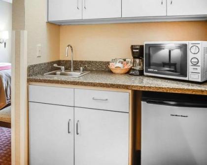 Quality Inn & Suites Roswell - image 9