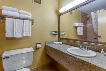 Clarion Inn & Suites - image 12