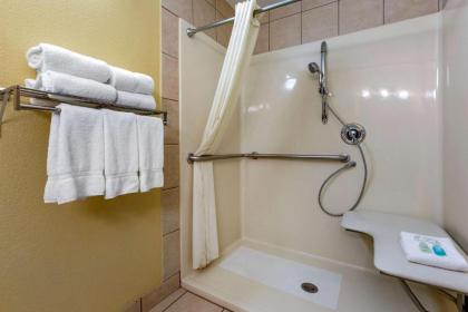 Clarion Inn & Suites - image 15