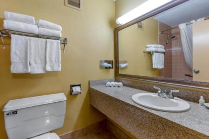 Clarion Inn & Suites - image 2