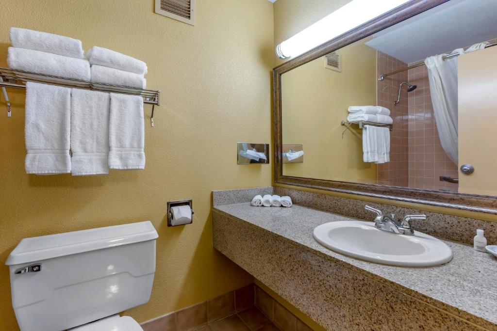 Clarion Inn & Suites - image 2