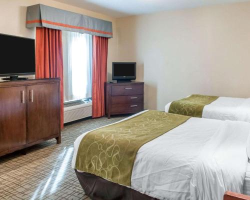 Comfort Suites Roswell - image 6