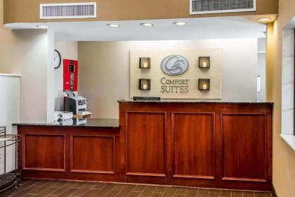 Comfort Suites Round Rock - Austin North I-35 - image 9