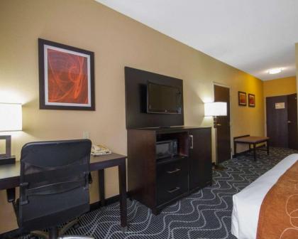 Comfort Suites Lake Ray Hubbard - image 10