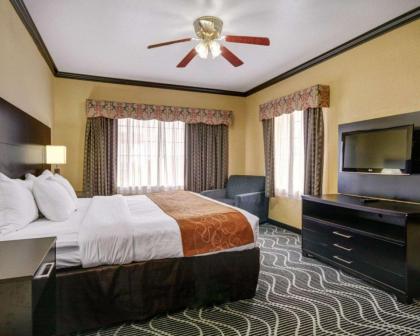 Comfort Suites Lake Ray Hubbard - image 5