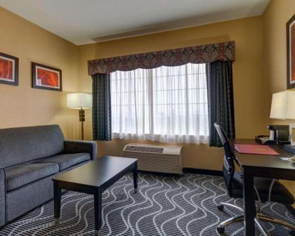 Comfort Suites Lake Ray Hubbard - image 6