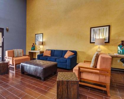 Comfort Suites Lake Ray Hubbard - image 9