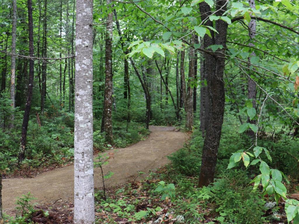 Tentrr State Parks - Mount Blue State Park - image 5