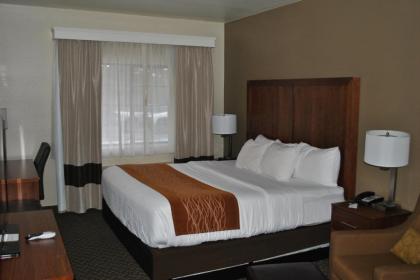 Comfort Inn & Suites Midtown