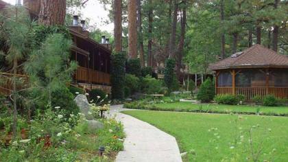 Shadow Mountain Lodge and Cabins - image 13