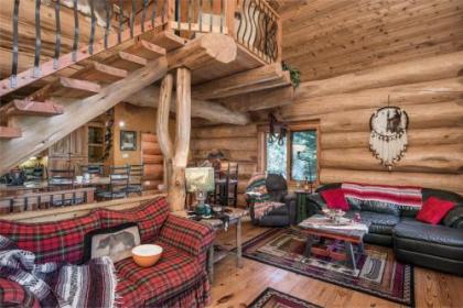 Bear Foot Lodge 2 Bedrooms Sleeps 6 Gas Grill Walk to River Hot Tub - image 1