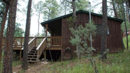 Beary Comfy Cabin - image 5